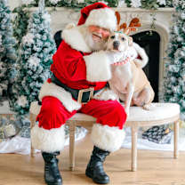 Thumbnail photo of Roxie #1