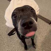 Thumbnail photo of Kona #4