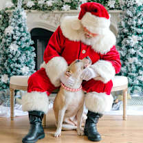 Thumbnail photo of Roxie #2