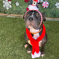 Thumbnail photo of Niyah #2