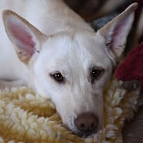 Thumbnail photo of Kit #1