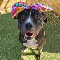 Thumbnail photo of Niyah #4