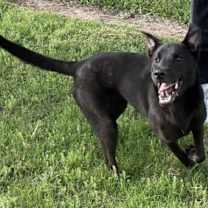 Thumbnail photo of Siona #2