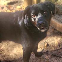 Thumbnail photo of Audie #2