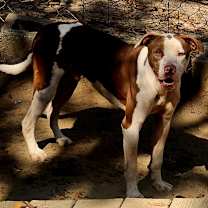 Thumbnail photo of Klaus #2