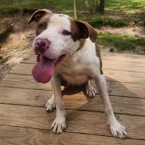 Thumbnail photo of Klaus #3