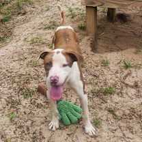 Thumbnail photo of Klaus #4