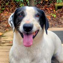 Thumbnail photo of Hansel #1