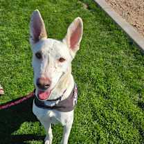 Thumbnail photo of Logan #1