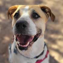 Thumbnail photo of Junie #1