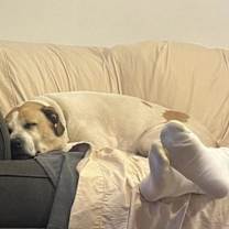 Thumbnail photo of Junie #2