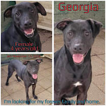 Thumbnail photo of Georgia #1