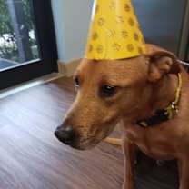 Thumbnail photo of Ron #2