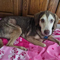 Thumbnail photo of Clyde #1