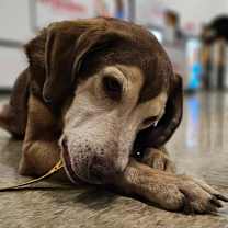 Thumbnail photo of Clyde #2