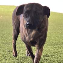 Thumbnail photo of Brenda 2265 #4