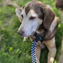 Thumbnail photo of Clyde #3
