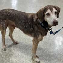 Thumbnail photo of Clyde #4