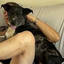 Thumbnail photo of Lennon #2