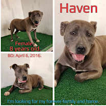 Thumbnail photo of Haven #1