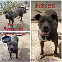 Thumbnail photo of Haven #2