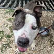 Thumbnail photo of Biggie #4