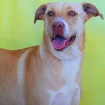 Thumbnail photo of Allie JR* #1