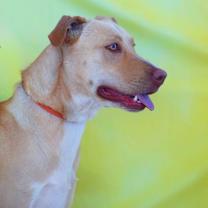 Thumbnail photo of Allie JR* #2