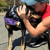 Thumbnail photo of SASHA #2