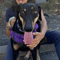 Thumbnail photo of SASHA #3