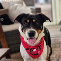 Thumbnail photo of Miss Bea JuM #1