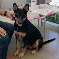 Thumbnail photo of Bella Marie BP* #2