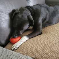 Thumbnail photo of Starla JuM #3