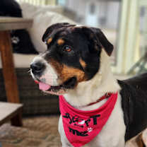 Thumbnail photo of Miss Bea JuM #3