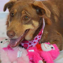 Thumbnail photo of Penelope JR #1