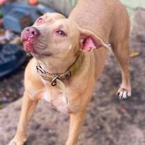 Thumbnail photo of Nyla JC #4
