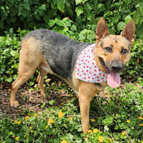 Thumbnail photo of Juanita aka Tita MM #3