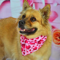 Thumbnail photo of Chloe AG* #3
