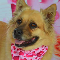 Thumbnail photo of Chloe AG* #4