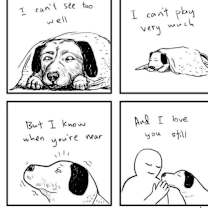 Thumbnail photo of Old Yeller JuM #2