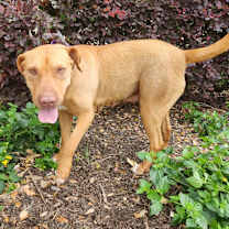 Thumbnail photo of Marlee JuM* #3