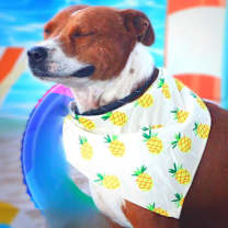 Thumbnail photo of Captain JuM* #2