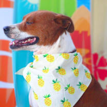 Thumbnail photo of Captain JuM* #3