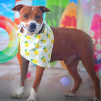 Thumbnail photo of Captain JuM* #4