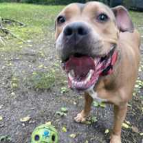 Thumbnail photo of Sloan #1