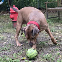 Thumbnail photo of Sloan #3