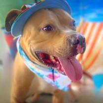 Thumbnail photo of Mason JuM #3