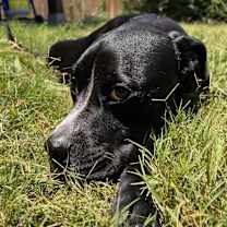 Thumbnail photo of Juni #3