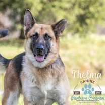 Thumbnail photo of Thelma #1