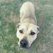 Thumbnail photo of Etta #2